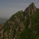 월출산농협 이미지