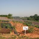 승은농장 이미지