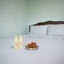 양구 나비야 이미지