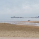 몽야 338 이미지