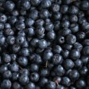 아로니아 이미지