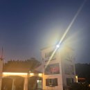 에코랜드 | 제주 에코랜드 좀비트레인 후기