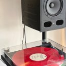 단비넷PC방 | 24.10 _ 지옥의 청첩장 모임