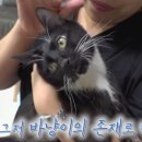 해삼농장 이미지