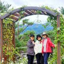 속리산농장 이미지