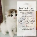 울산고양이분양 모나미네코 울산본점 이미지