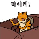 호오