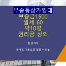 어양엘드수목토 이미지