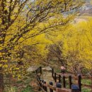 지리산로시난테하우스 이미지