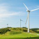 하늘아래목장 이미지