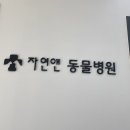 자연앤동물병원 이미지