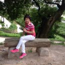 행복나들이반찬 이미지