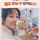 아델동물병원 이미지