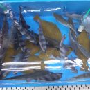 여수상회 이미지