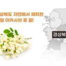 비마 이미지