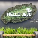 지에스25 제주관덕정점 이미지