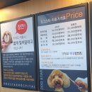 도그스타 금곡점 네이버블로그
