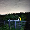 당포성 | [연천 당포성] 호불호가 갈리는 경기북부 야경 명소 당포성 솔직 후기..!