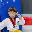 정수태권도장 이미지