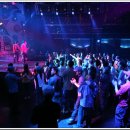 뉴캐슬나이트클럽 이미지