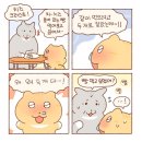 틴틴피자 이미지