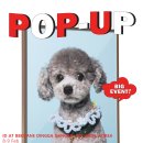 딩가댕가 이미지