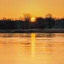 화원농협주유소 이미지