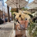 GS25창원자여점 | 창원 가로수길 카페 토르테｜도지사관사 산책 후 디저트 맛집 후기