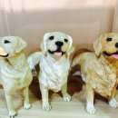 더 도그맘 이미지