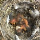 경기도야생동물구조관리센터 이미지