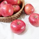 열방농장 이미지