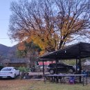 느티나무펜션민박 이미지