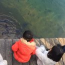 리인제주 이미지