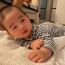 에코스테이 | 5개월 아기 강화도 여행 펜션 "스테이에코" 내돈내산 후기