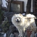 삼청동게스트하우스