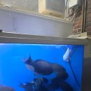 강선장당일바리 | 제주 현지인만 아는 찐횟집 | 선장이 직접 잡은 회, ‘강선장 당일바리’ 솔직 후기