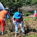 옥구공원 이미지