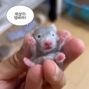 P&amp;G 여름 전환형 인턴 합격 후기 -2