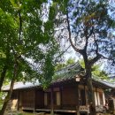 이시종 | 아산 외암마을