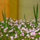 더럭초등학교 이미지