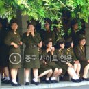 꼬꼬와톡 이미지