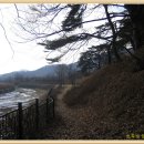 흐르는 강물을 바라 이미지