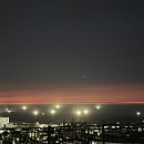 노형 꿈 동물병원 이미지