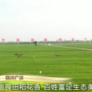 녹수청산 이미지