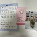 디어몽 이미지