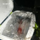 야참박스 이미지