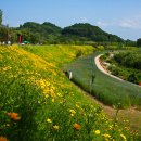 악양생태공원 이미지