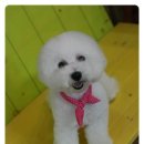 루피펫살롱 이미지