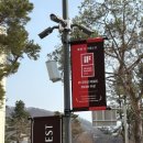 디자인크레스트