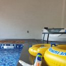 포레스트G1 이미지